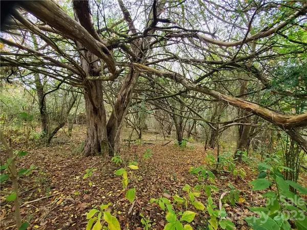 0 Kirby Lackey RD, Taylorsville, NC 28681