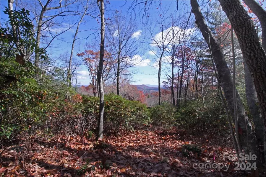 Lot 24 Toxaway CT, Lake Toxaway, NC 28747