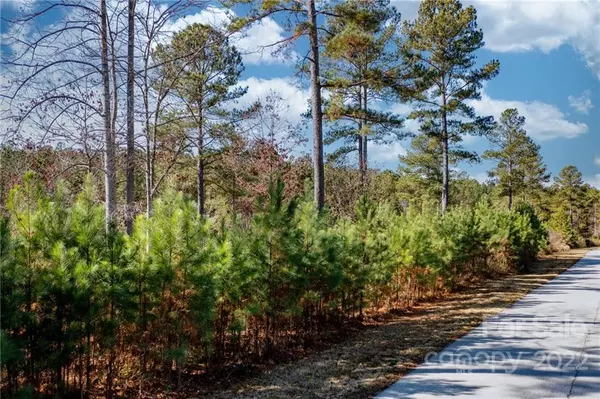 Connelly Springs, NC 28612,3097 Panoramic Vista CT