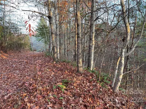 Balsam Grove, NC 28708,Lot 43 Kimiko LN