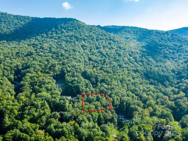 Canton, NC 28716,0 Alpine RDG #D-11