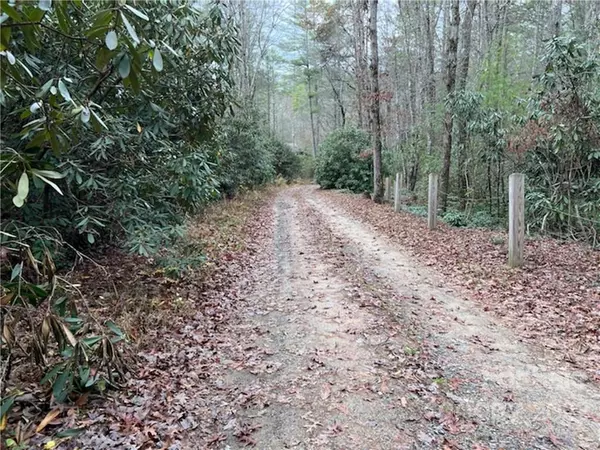 Lot 41 Stones Lake RD, Cedar Mountain, NC 28718