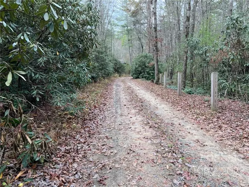 Lot 41 Stones Lake RD, Cedar Mountain, NC 28718