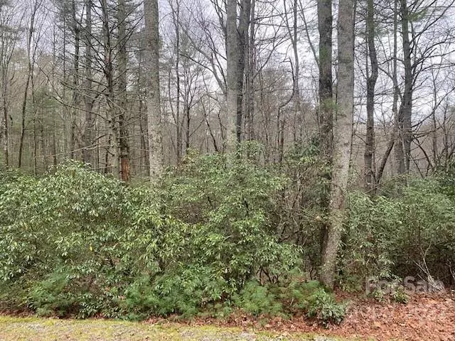 TBD Salola LN #U04-L033, Brevard, NC 28712