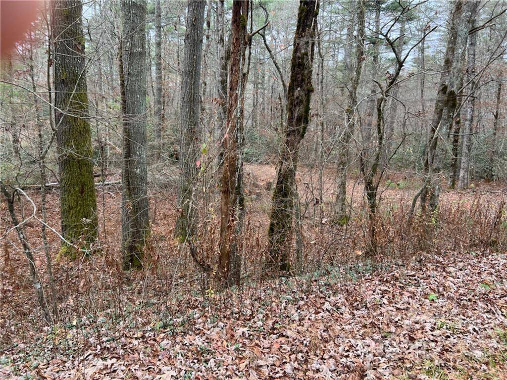 Highway 276 Stones Lake RD, Cedar Mountain, NC 28718
