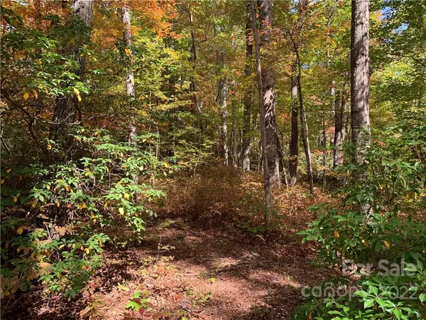 Balsam Grove, NC 28708,Lot 26 Ridge Trail DR