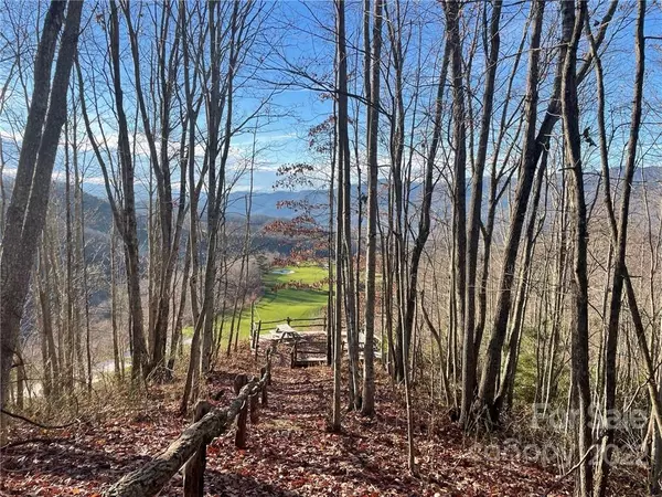Sylva, NC 28779,Lt 287 Haulback WAY #287