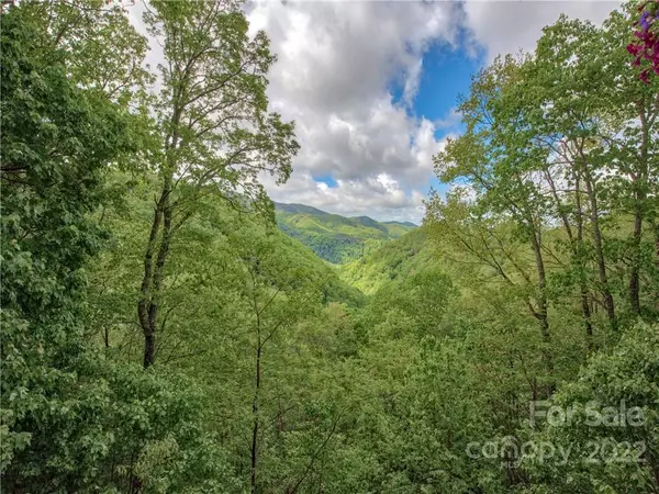 Maggie Valley, NC 28751,64 Field Mouse LN