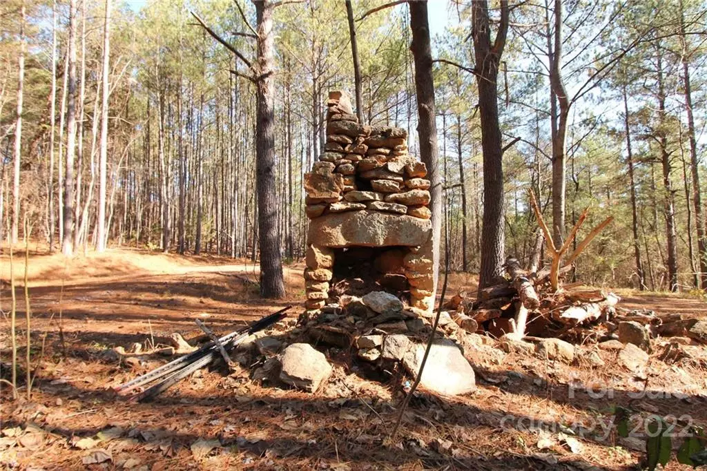 Rutherfordton, NC 28756,1095 Grassy Knob RD