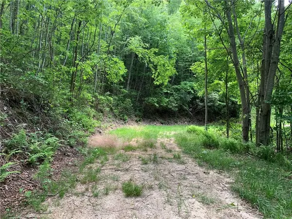 Bryson City, NC 28713,Lot 18 Racoon Cove RD #18