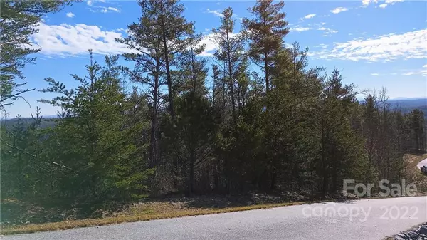 Lenoir, NC 28645,3 acres Tomahawk Ridge DR #45/46