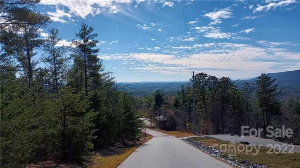 Lenoir, NC 28645,3 acres Tomahawk Ridge DR #45/46