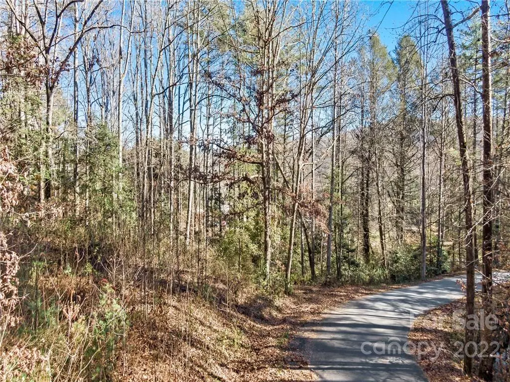 Brevard, NC 28712,8 Rollins PL