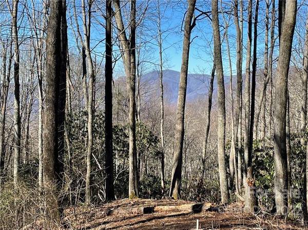 3643 Preserve RD #101, Sylva, NC 28779