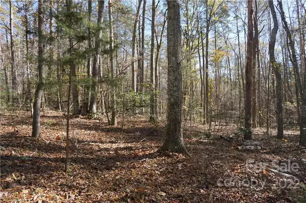 Clover, SC 29710,10.64 AC Burree RD #6