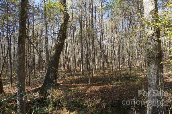 10.64 AC Burree RD #6, Clover, SC 29710