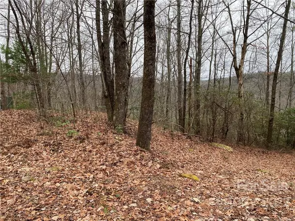 Brevard, NC 28712,Lot 83 Sandy LN