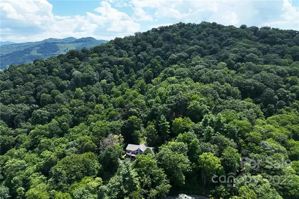 Waynesville, NC 28785,73 & 74 Frank Davis RD #73 & 74