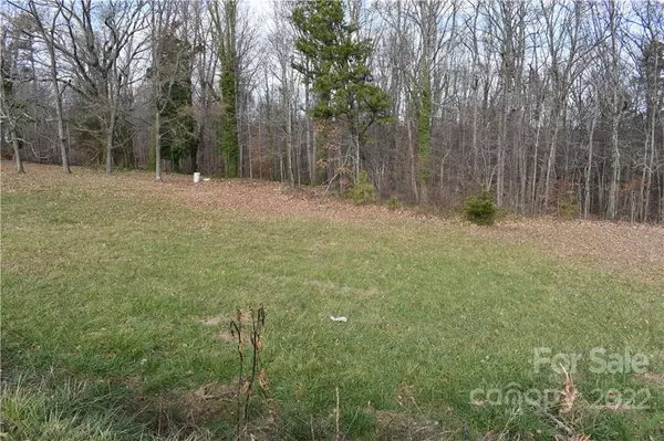 Vale, NC 28168,Lot 2 Reeps Grove Church RD