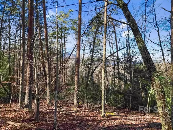 Columbus, NC 28722,4.13 Acres Cottonwood RDG