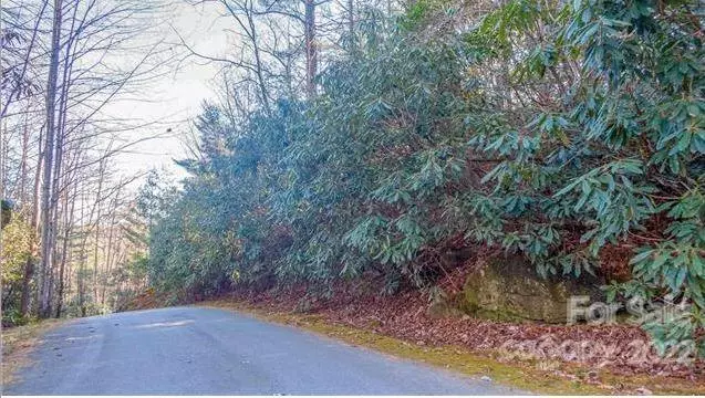 TBD Toxaway Falls DR #12C, Lake Toxaway, NC 28747