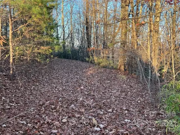 Marion, NC 28752,Lot 75 Grants Mountain RD