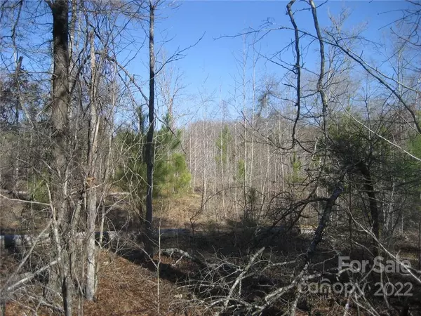 York, SC 29745,00 Yellow Gate RD #Tract 4