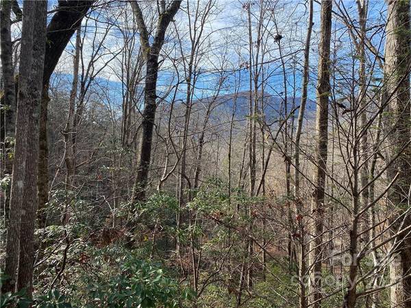 Lot 30 Chalet RD, Lake Lure, NC 28746