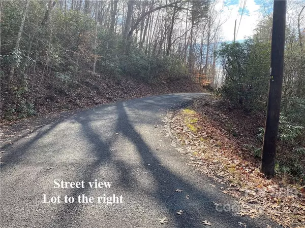 Lake Lure, NC 28746,Lot 30 Chalet RD