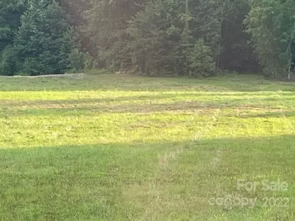 Rutherfordton, NC 28139,00 County Line RD