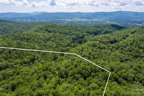 Brevard, NC 28712,Lot 5 Long Branch RD