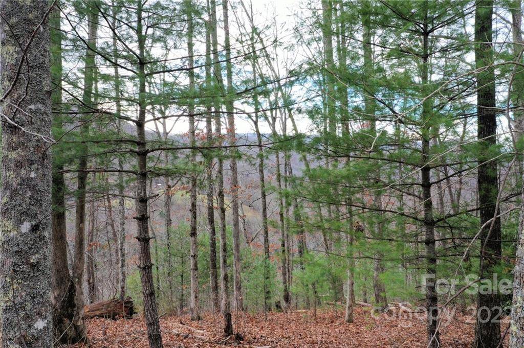 Cullowhee, NC 28723,Lot 10 A Cedar Cliff RD