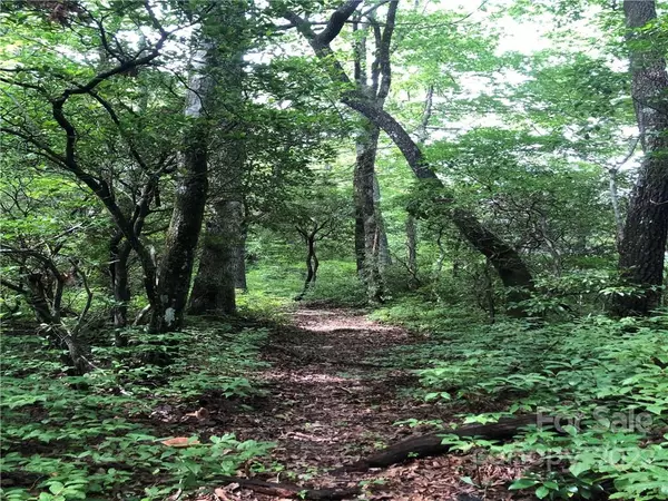 Lake Toxaway, NC 28747,TBD Off Little Elbow Mountain RD