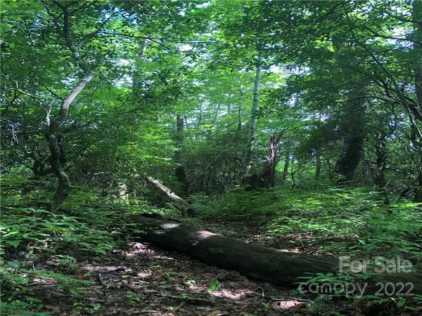 Lake Toxaway, NC 28747,TBD Off Little Elbow Mountain RD