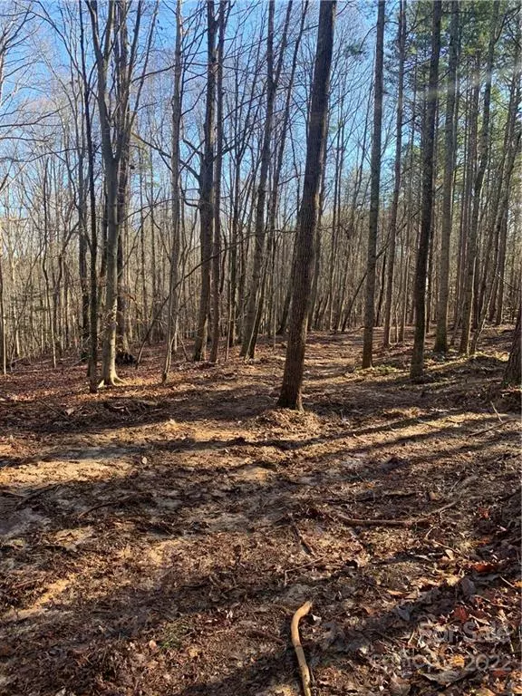 Iron Station, NC 28080,0 Fox Meadow LN #3