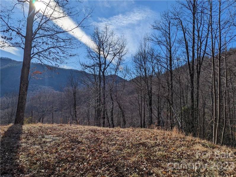 367 Kestrel LN #T-85, Black Mountain, NC 28711