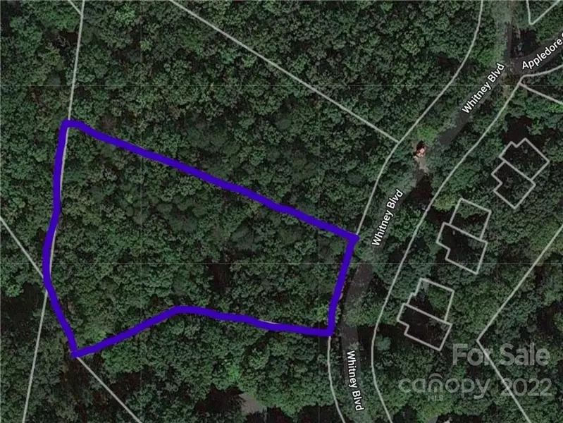 Lot 8 Whitney BLVD, Lake Lure, NC 28746