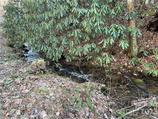 Bryson City, NC 28713,Lot 38 Brush Creek Mountain RD #38