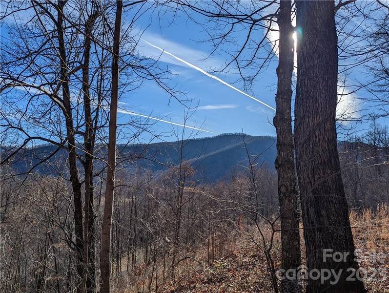 351 Kestrel LN #T-67, Black Mountain, NC 28711