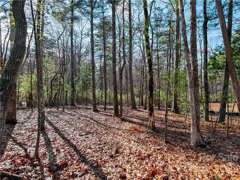 74 Emerald Necklace DR #426, Asheville, NC 28803