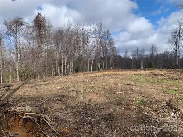 Flat Rock, NC 28731,Lot 2 Summit Springs DR