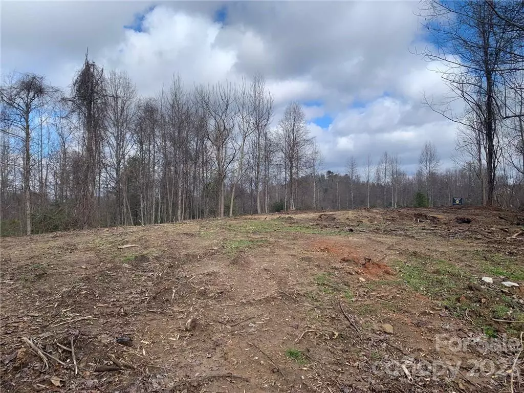Flat Rock, NC 28731,Lot 2 Summit Springs DR