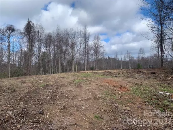 Lot 2 Summit Springs DR, Flat Rock, NC 28731