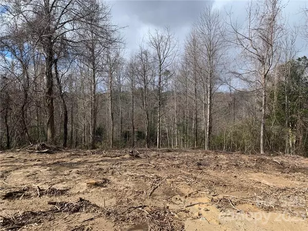 Flat Rock, NC 28731,Lot 2 Summit Springs DR