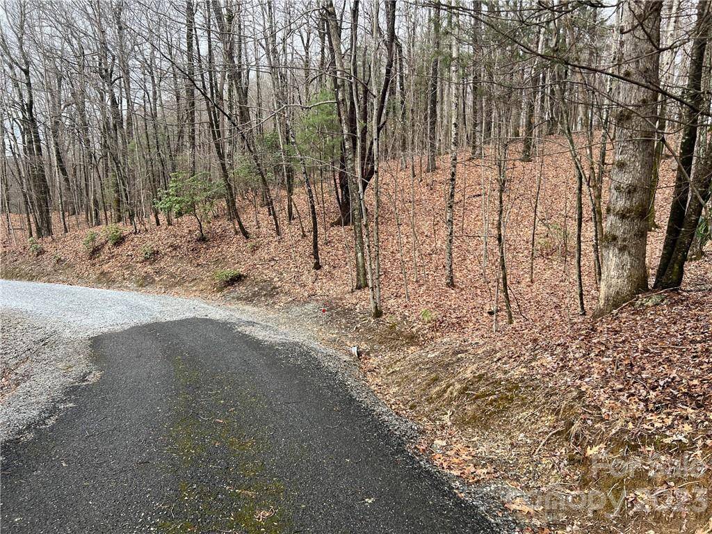 999 Indian Camp Mountain RD, Rosman, NC 28772
