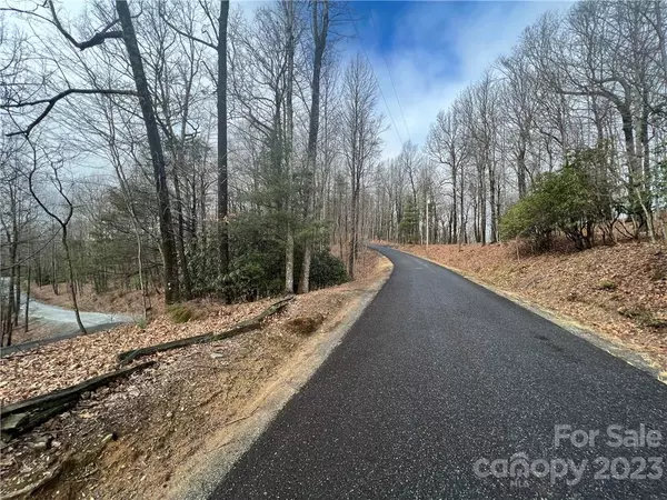 Rosman, NC 28772,999 Indian Camp Mountain RD