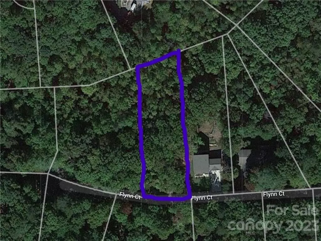 Lake Lure, NC 28746,Lot 42 Flynn CT
