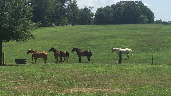 6911 Alexander Farm RD, Monroe, NC 28110