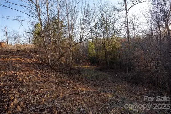 Rutherfordton, NC 28139,0000 Baber Forest DR #14 & 15