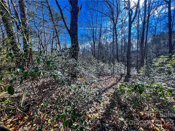 Lake Lure, NC 28746,Lot 50 Flynn CT